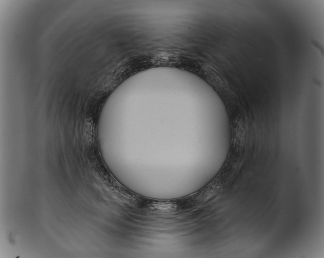 X0000100870659200807111319