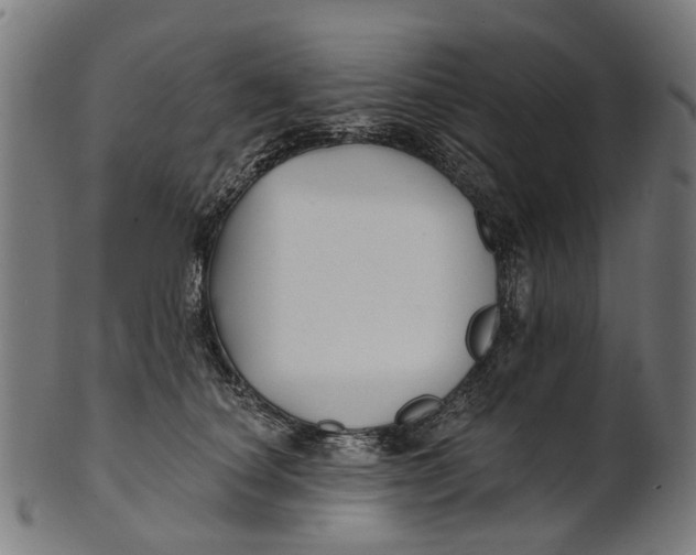 X0000100870660200807111319