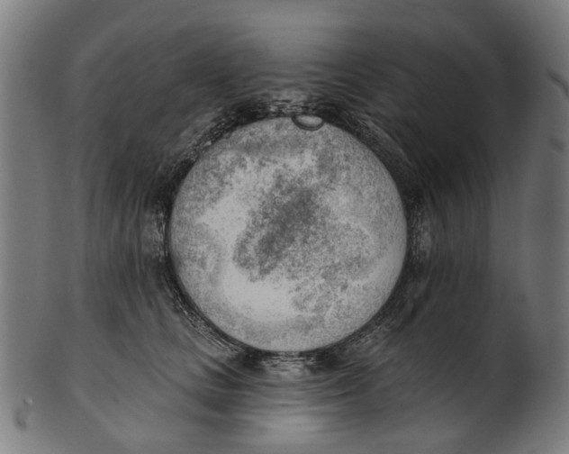 X0000100870661200807111319