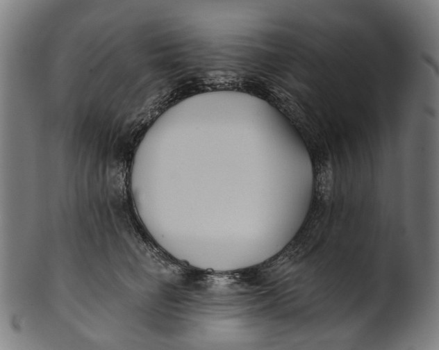 X0000100870662200807111319