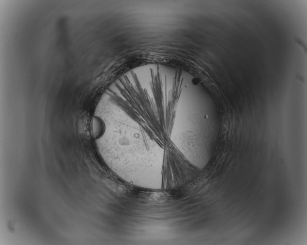 X0000100870663200807111319