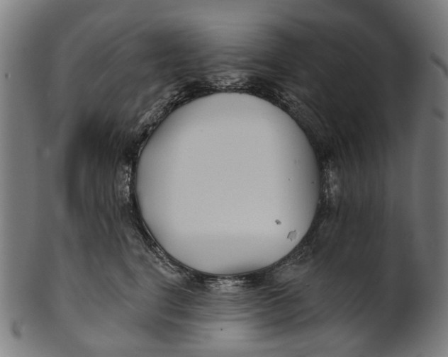 X0000100870664200807111319