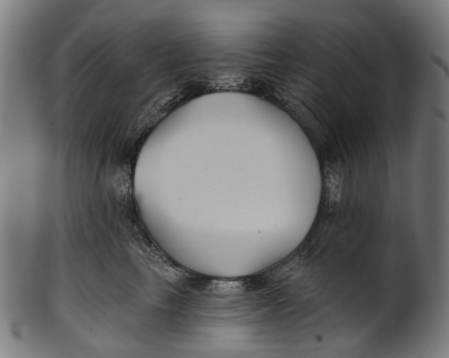 X0000100870665200807111319