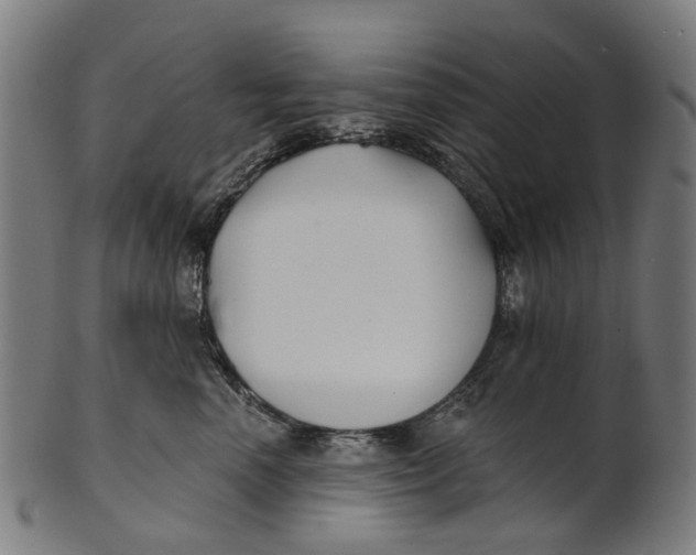 X0000100870666200807111319