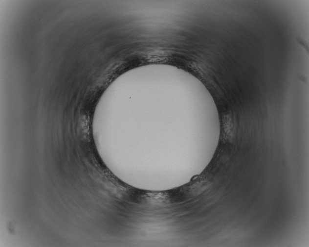 X0000100870667200807111319