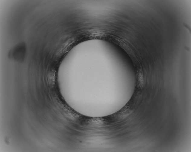 X0000100870668200807111319