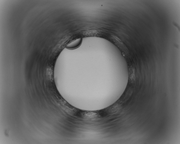 X0000100870669200807111319