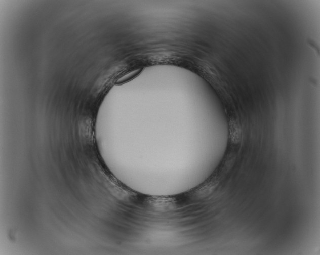 X0000100870670200807111319