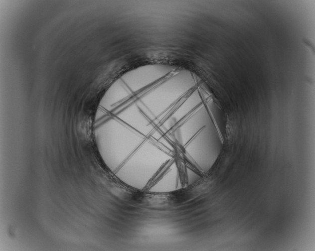 X0000100870671200807111319