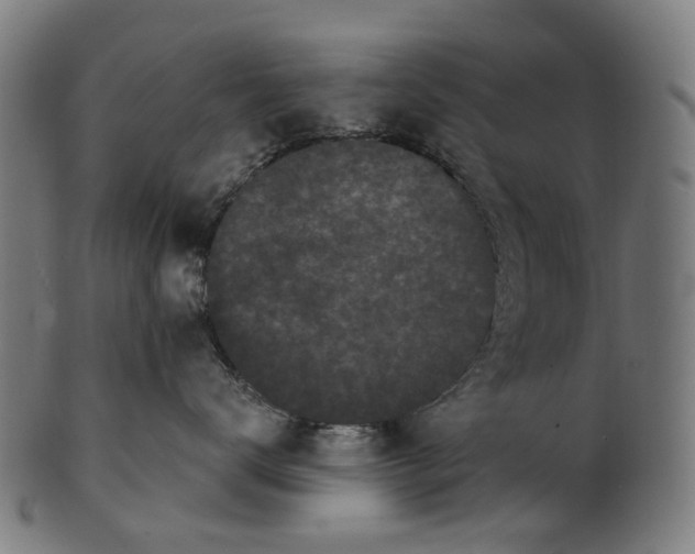 X0000100870672200807111319