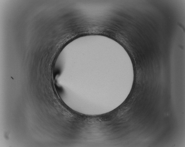 X0000100870673200807111318