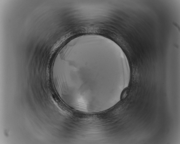 X0000100870674200807111318