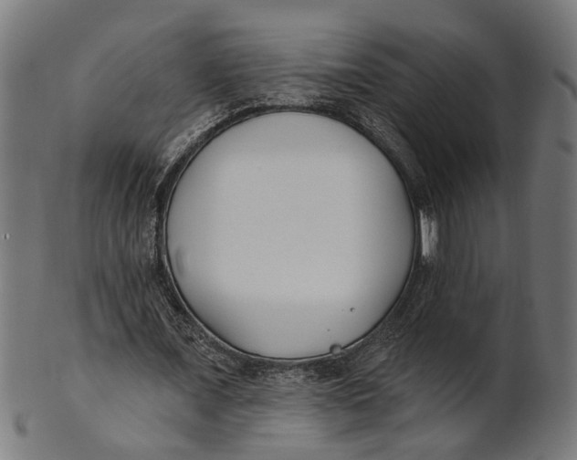 X0000100870675200807111318