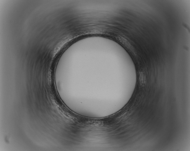 X0000100870676200807111318