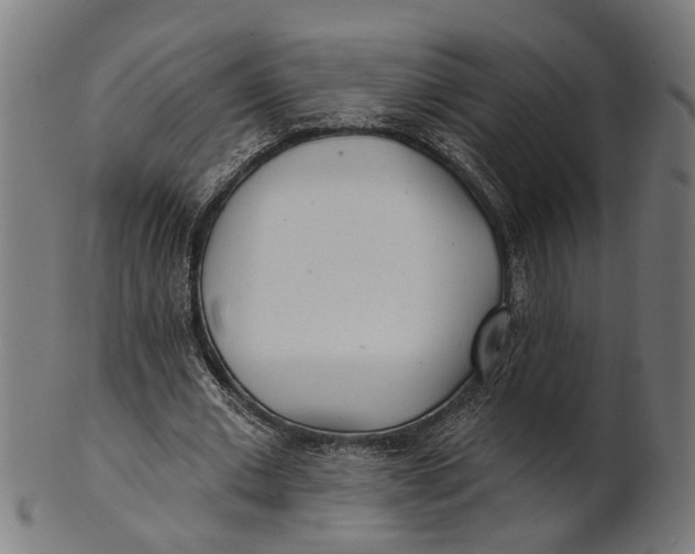 X0000100870677200807111318