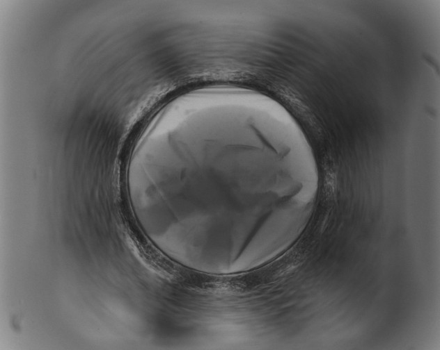 X0000100870678200807111318