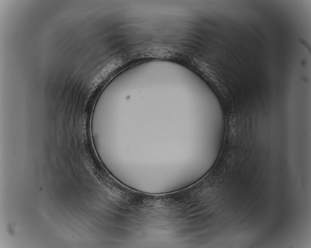 X0000100870679200807111318