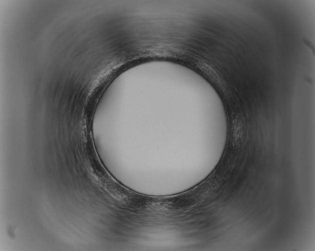 X0000100870680200807111318