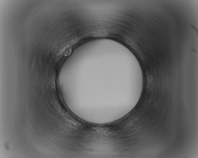 X0000100870681200807111318