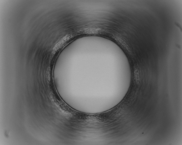 X0000100870682200807111318