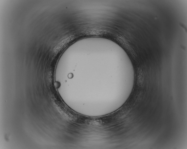 X0000100870683200807111318