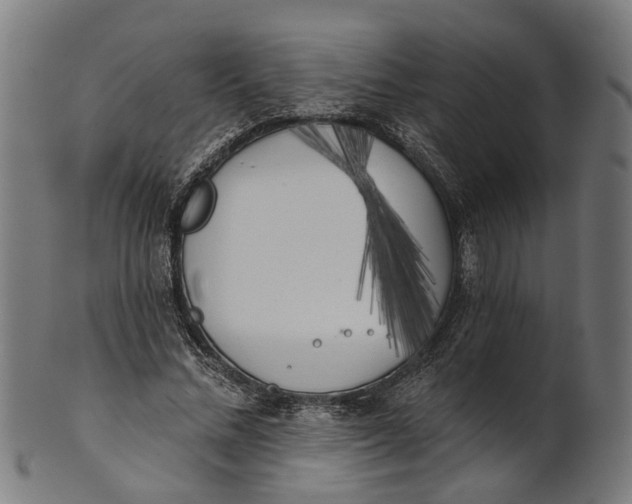 X0000100870684200807111318