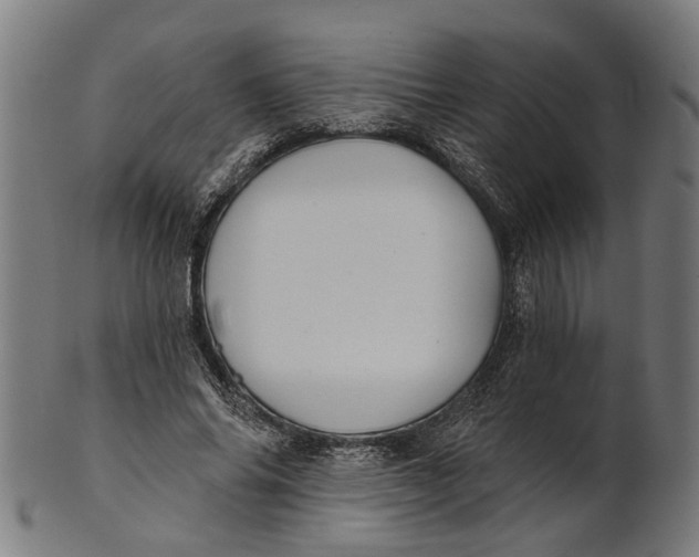 X0000100870686200807111318