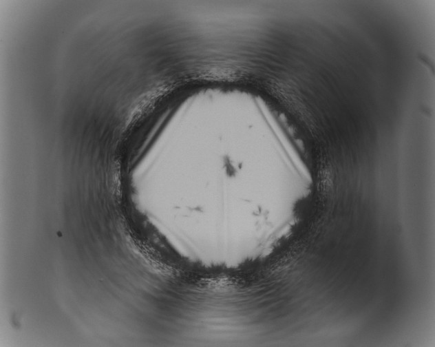 X0000100870688200807111318