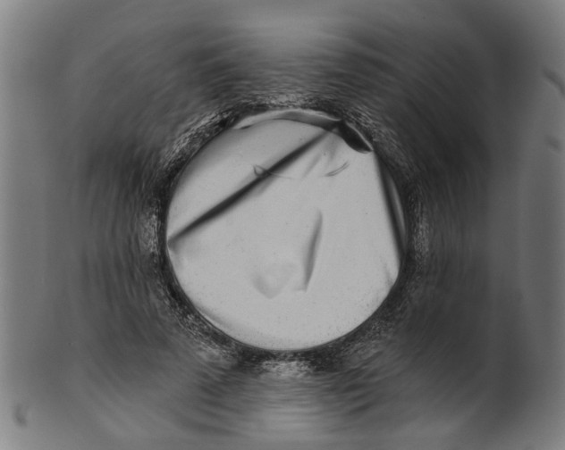 X0000100870689200807111318