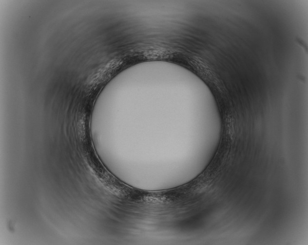 X0000100870690200807111318