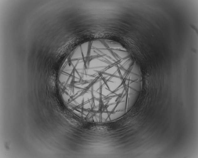 X0000100870691200807111318