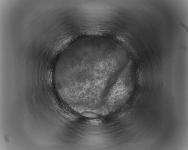 X0000100870692200807111318