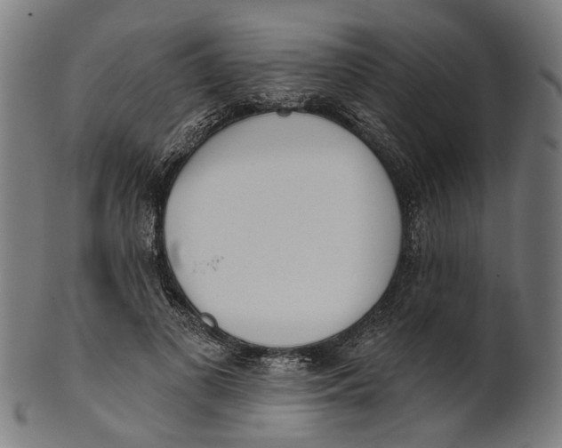 X0000100870693200807111318