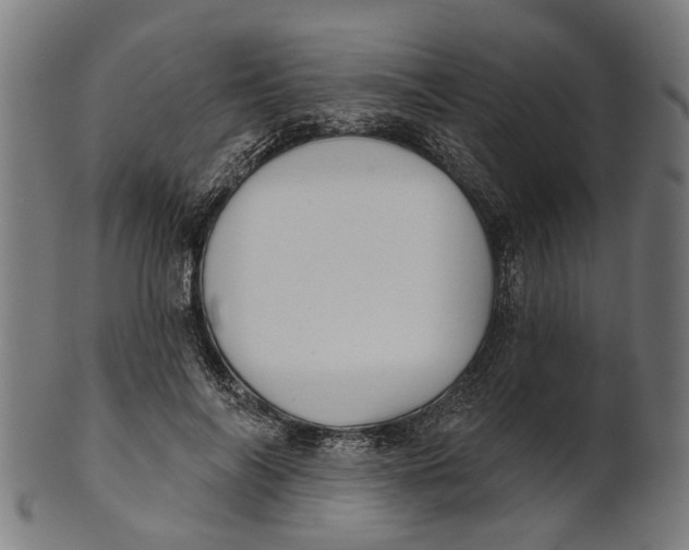 X0000100870694200807111318