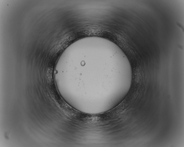 X0000100870695200807111318