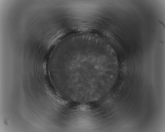 X0000100870696200807111318