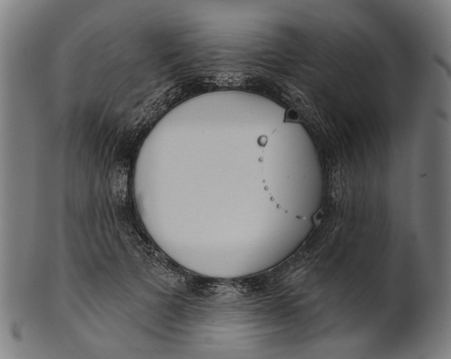 X0000100870697200807111318