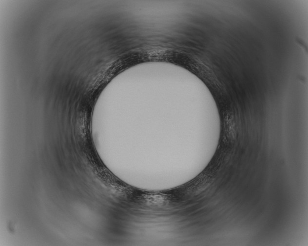 X0000100870698200807111318