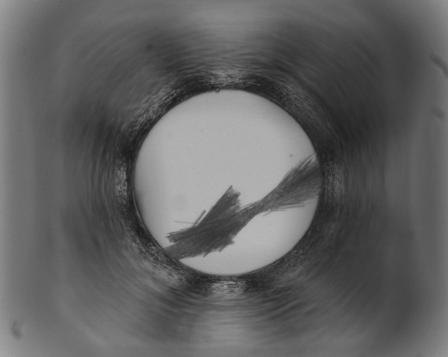 X0000100870700200807111318