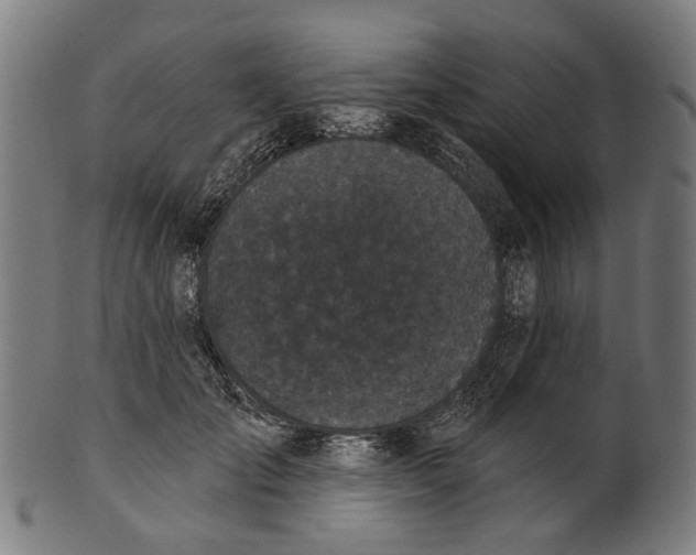 X0000100870701200807111318