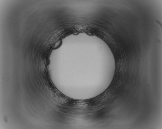 X0000100870702200807111318