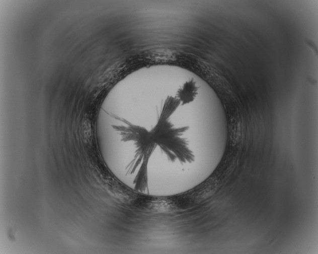 X0000100870704200807111318