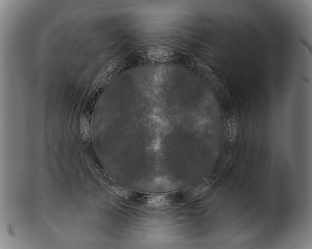 X0000100870705200807111318