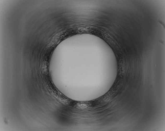 X0000100870706200807111318