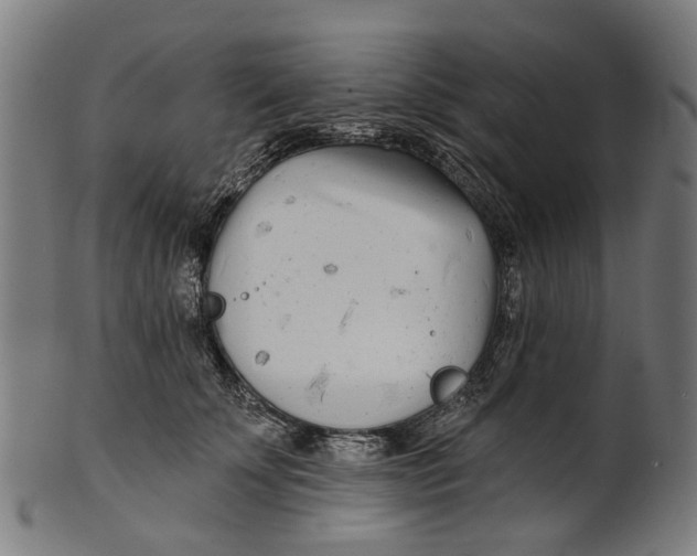 X0000100870707200807111318