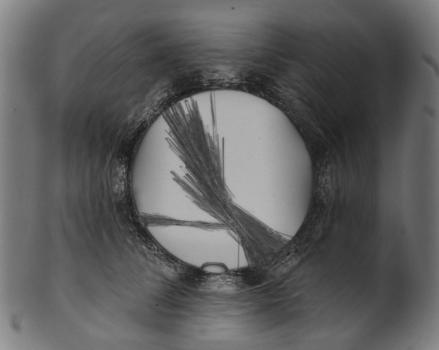 X0000100870708200807111318