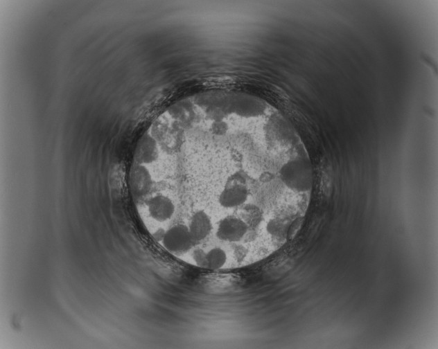 X0000100870711200807111318