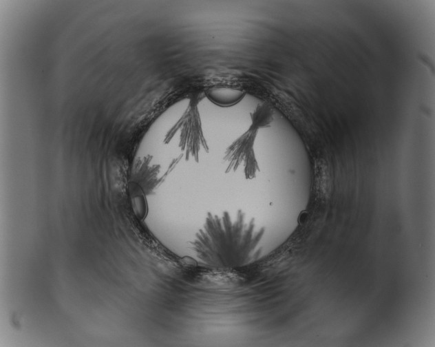 X0000100870712200807111318