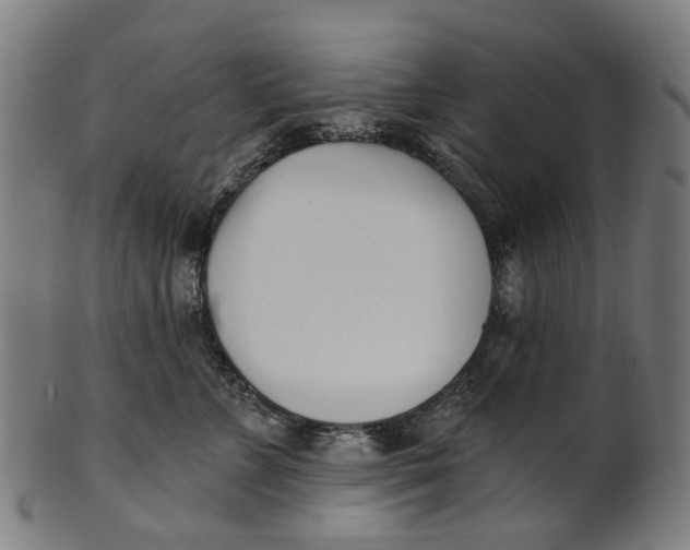 X0000100870715200807111318