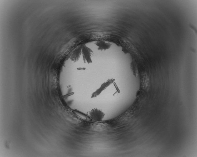 X0000100870716200807111318